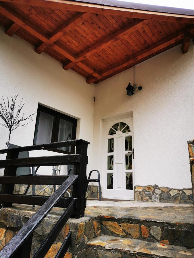 Casa Flandria Hotel Sinaia Exterior photo