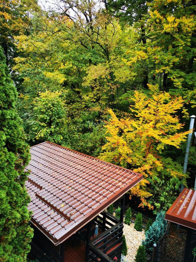 Casa Flandria Hotel Sinaia Exterior photo