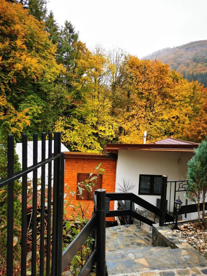 Casa Flandria Hotel Sinaia Exterior photo