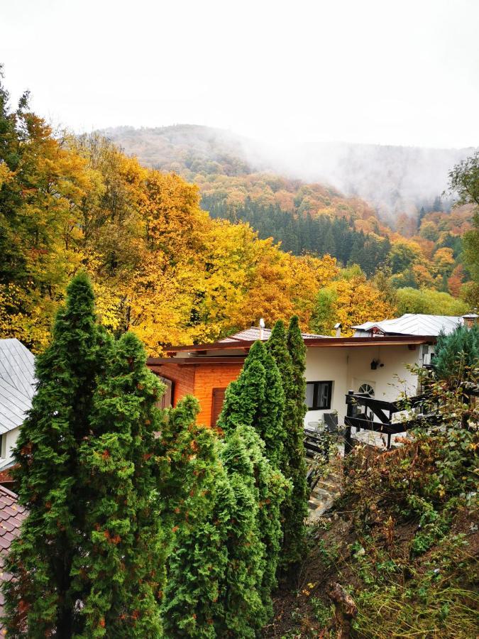 Casa Flandria Hotel Sinaia Exterior photo