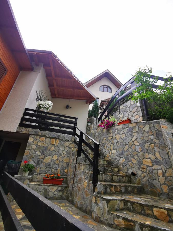 Casa Flandria Hotel Sinaia Exterior photo