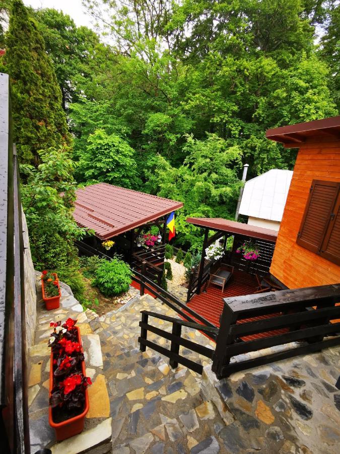 Casa Flandria Hotel Sinaia Exterior photo