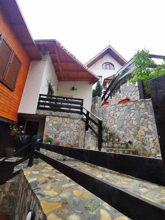 Casa Flandria Hotel Sinaia Exterior photo