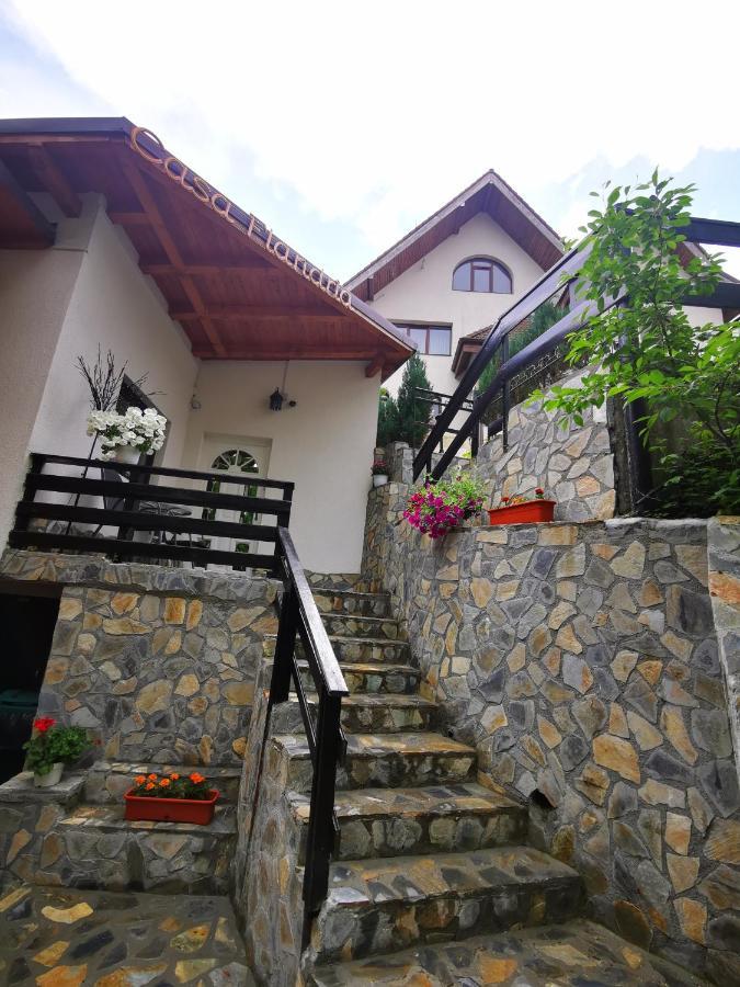 Casa Flandria Hotel Sinaia Exterior photo