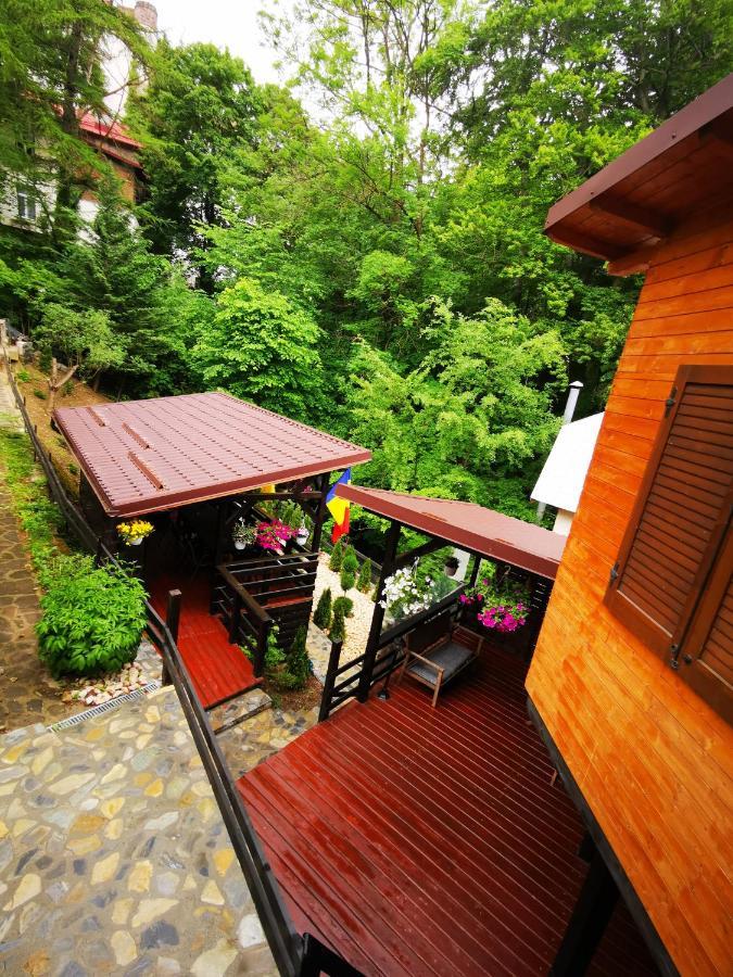 Casa Flandria Hotel Sinaia Exterior photo